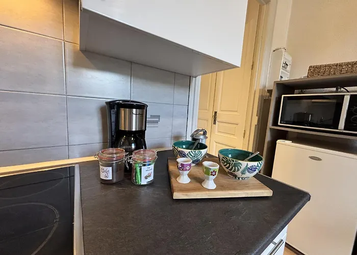 L'echappee Verte - - 1 Lit - 2 Pers Chatel-Guyon