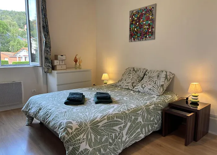 L'echappee Verte - - 1 Lit - 2 Pers Chatel-Guyon